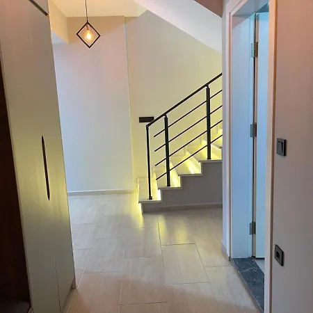 Bendis - For 8 People In The Center Of فيلة *